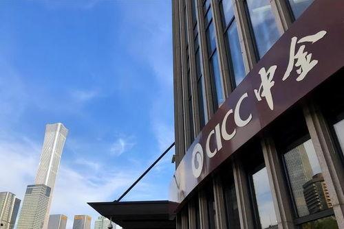 中金集团 背景,中国金融领域的领军者与变革推动者